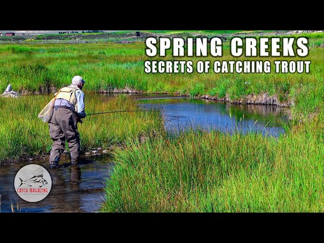 Fly Fishing: HOW TO Catch Trout - Incredible Small Stream Techniques