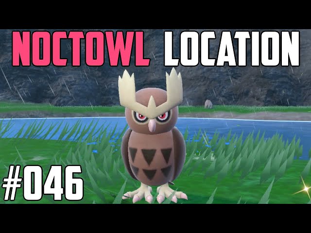 How to Catch Noctowl - Pokémon Scarlet & Violet (DLC)