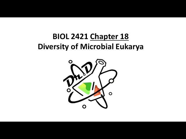 BIOL2421 Chapter 18 – Diversity of Microbial Eukarya