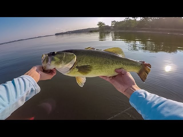 Finding BIG Bass In Your Fishing Tournament - Pre Fishing Tips