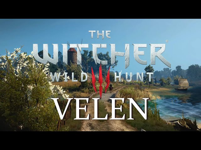 Witcher 3 - Velen - Day Ambience & Music