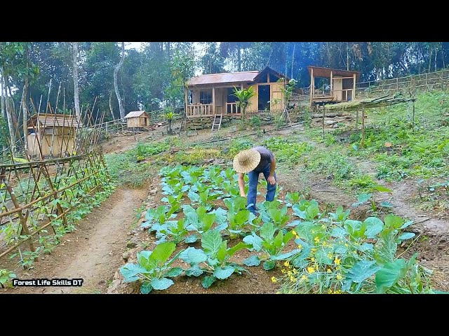 Full Video : The process of 270 days building a garden, how things change after 1 year