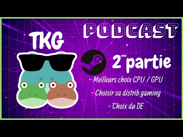 Que choisir en config gaming ? (CPU / GPU / Distribution / DE) Podcast TKG partie 2
