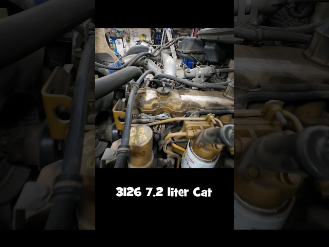 3126 as Bad as they Say?   #shorts #diesel #automobile #engine #truck #welkerfarms
