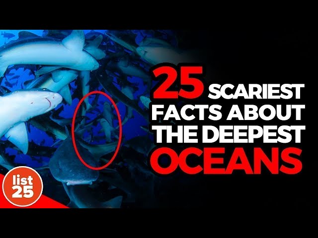25 Scariest Facts About The Deepest Oceans