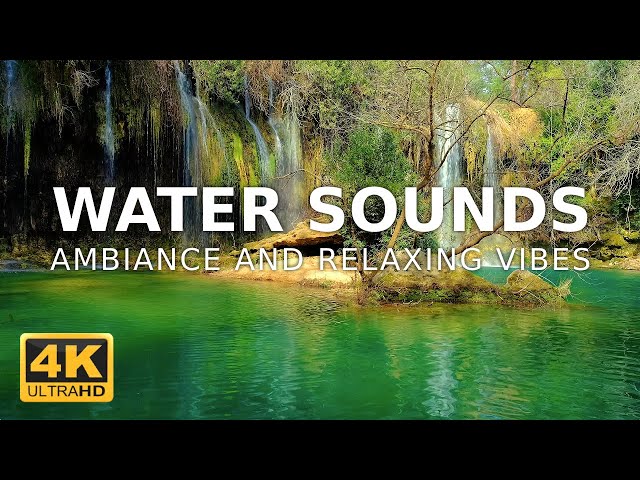 Remote Jungle Waterfall: A Hidden Gem | Water Sounds to Relax, Sleep & Read | 4K Nature Ambiance