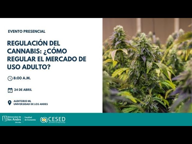Regulación del cannabis: ¿Cómo regular el mercado de uso adulto?