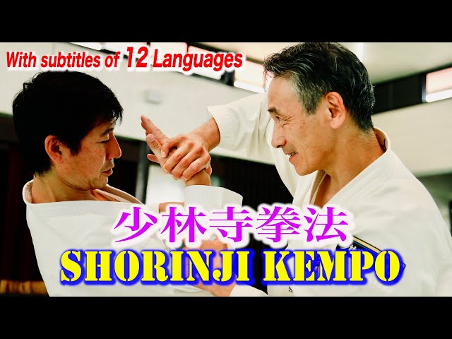 Verification of Shorinjikempo /Are great techniques practical?