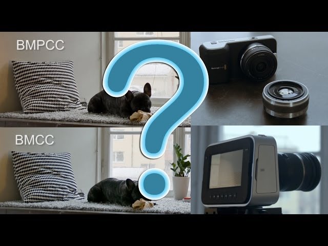 Blackmagic Cinema vs Pocket Camera - Which One To Buy?