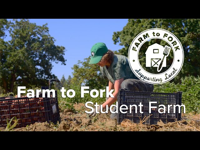 Farm to Fork: Local Produce from the UC Davis Student Farm