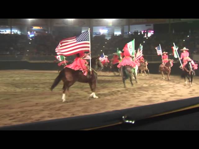 Escaramuza Charra Dancing Horses