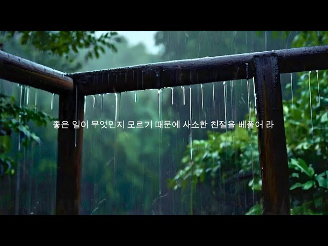 Tranquil Korean Forest Rain - Great for Studying, Sleeping, Relaxing and ASMR