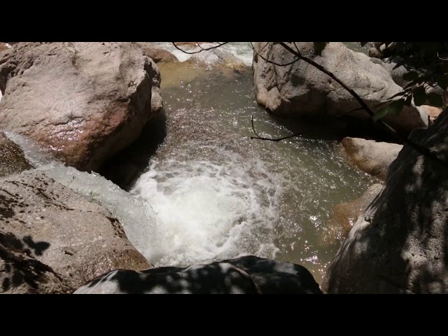 1 Hour Relaxing Sounds of Water / Mountain Stream