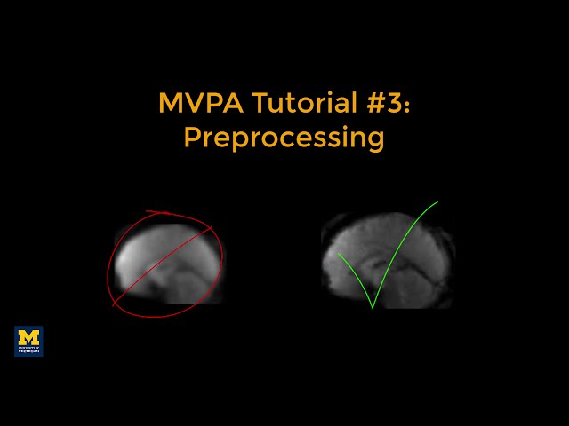 MVPA Tutorial #3: Preprocessing