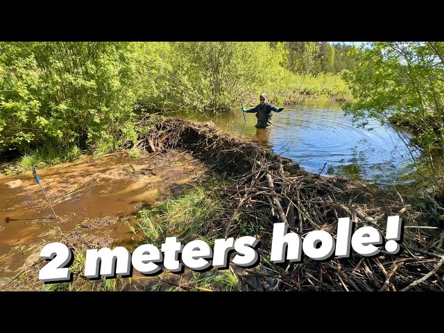 Canal Drainage || Water Cut Huge Hole Downstream!