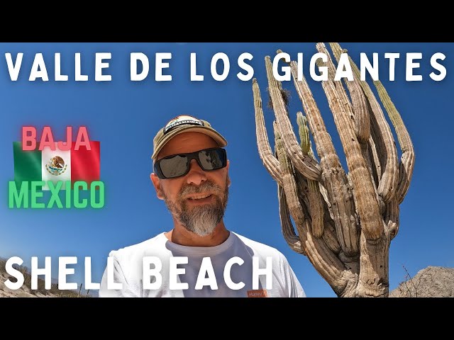 Valle de los Gigantes | Shell Beach | Baja Mexico - Episode 7