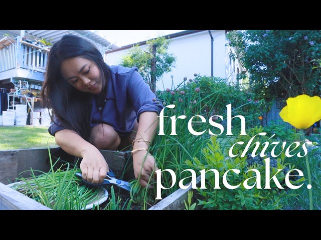 fresh chives pancake from my mom's garden | Tiffycooks Vlog