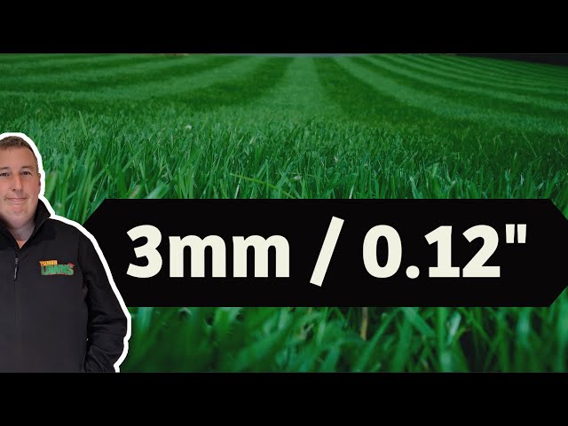 A masterclass on cutting grass extremely short – how low can grass be cut