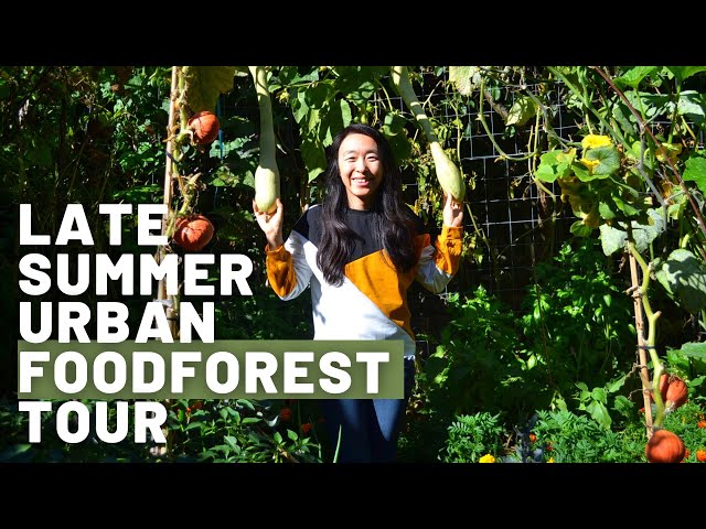 Late Summer tour of the fruits, vegetables, flowers of our Urban Food forest | Ideals & inspiration