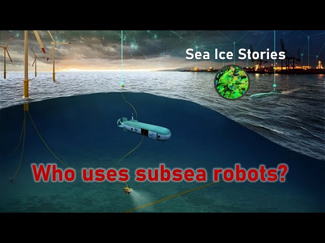 Who uses marine robots?