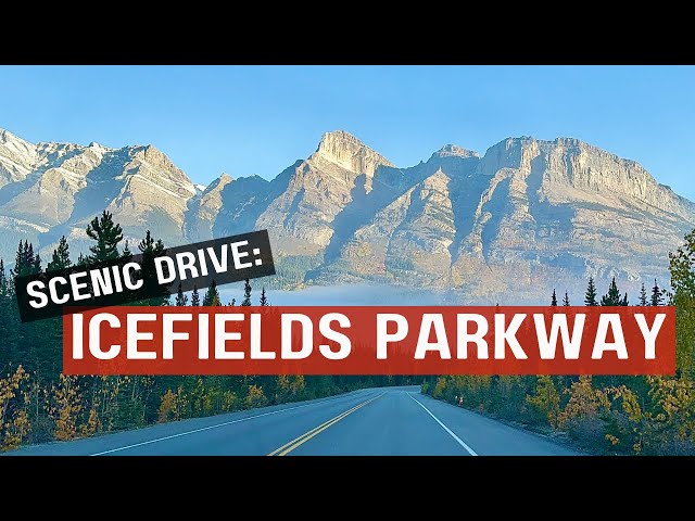 A Scenic and Relaxing Drive from Lake Louise to Jasper I Icefields Parkway, Canadian Rockies