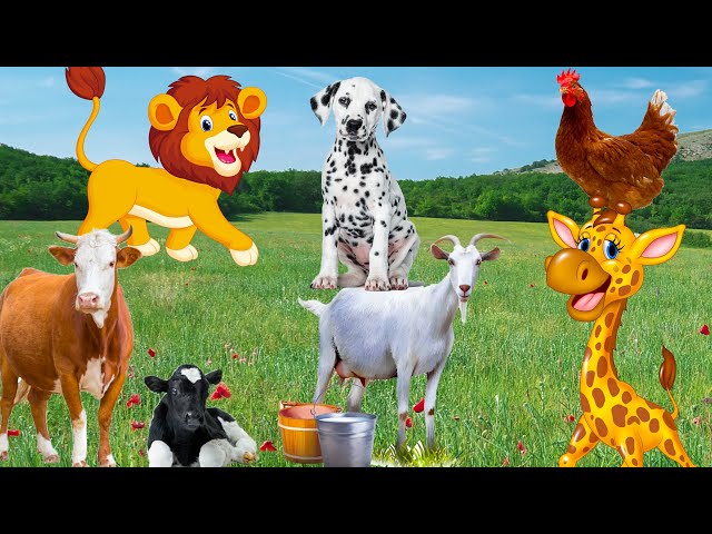 Effects of animals on humans: dogs, cats, giraffes, ducks, horses - animal sounds