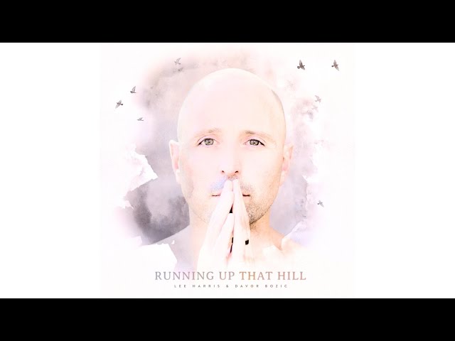 Running Up That Hill (A Deal With God) - [Cover] Lee Harris & Davor Bozic