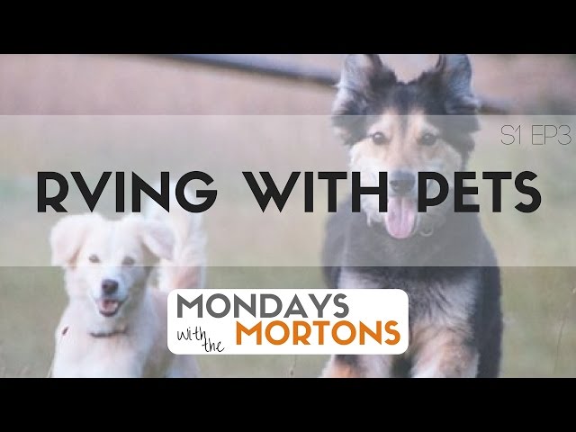 RVing with Pets - Mondays with the Mortons