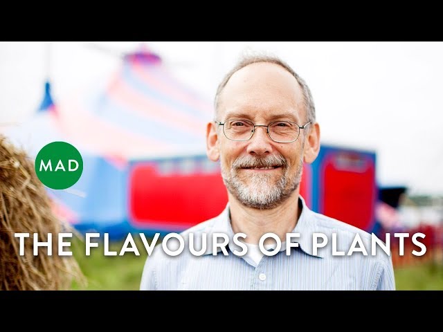 The Flavours of Plants| Harold McGee, Author