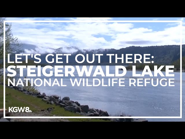 Steigerwald Lake National Wildlife Refuge reopens May 1 | Let's Get Out There