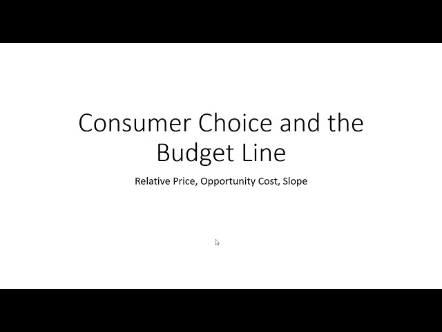 Consumer Choice: The Budget Line