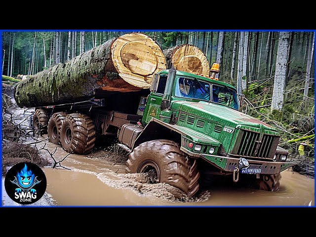 55 Extreme DANGEROUS Huge Wood Logging Truck | Best Of The Week