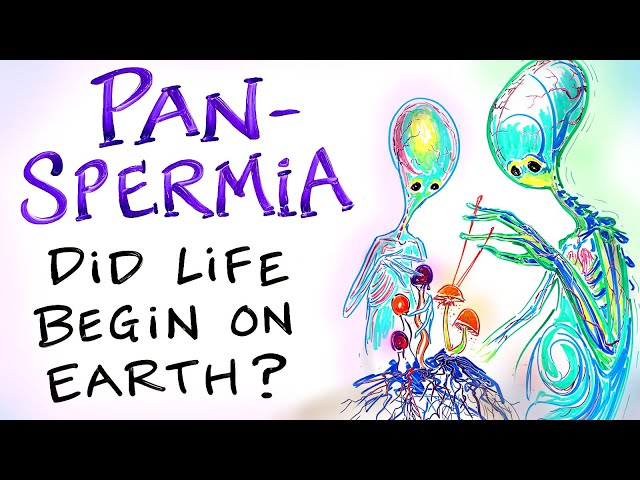 PANSPERMIA - Did Life Begin on Earth? Are Mushrooms USING US to Get to Space?