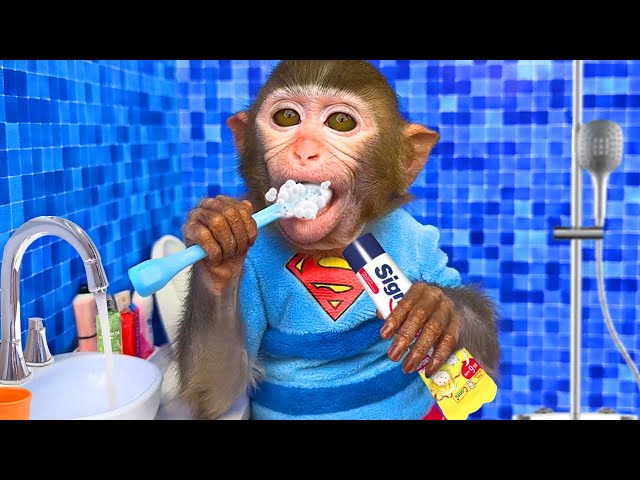 Monkey Baby BonBon Brush your Teeth and Eat Fruit with a Cute Puppy -  Crew BonBon