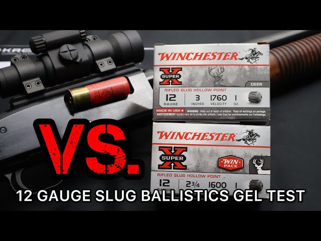 2.75" vs. 3" MAGNUM!! 12 Gauge Rifled Slug Winchester 1oz Ballistics Gel Ammo Test