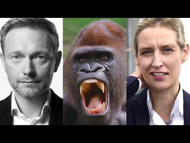 Bundestagswahl 2017: Wer hat den besten Werbespot?