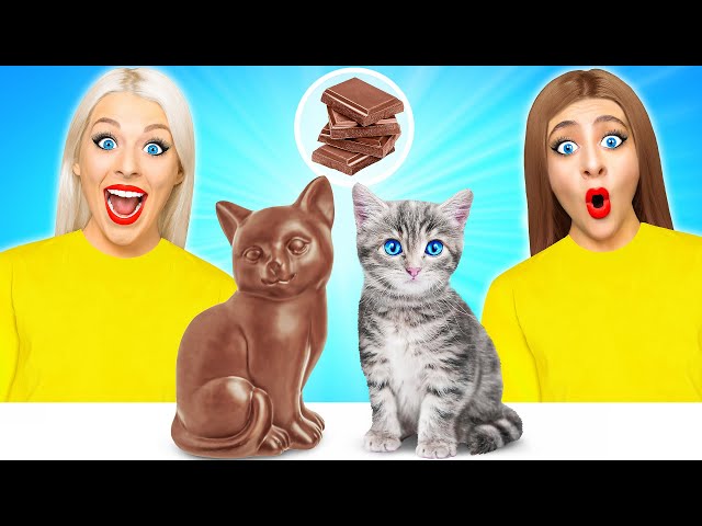Chocolate vs Real Food Challenge #2 | 100 Layers of Chocolate by Multi DO Fun