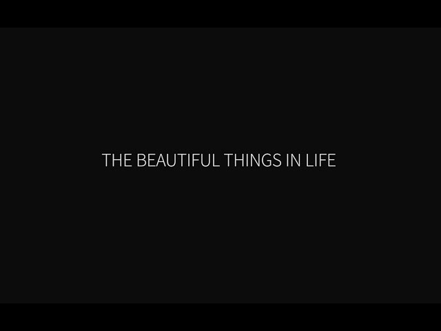 The Beautiful Things in Life in 56 seconds