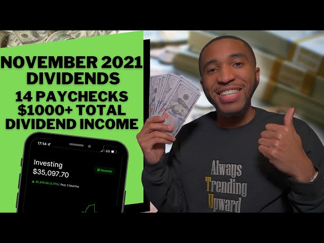 Dividend Income From My $35,000 Stock Portfolio | November 2021 #passiveincome