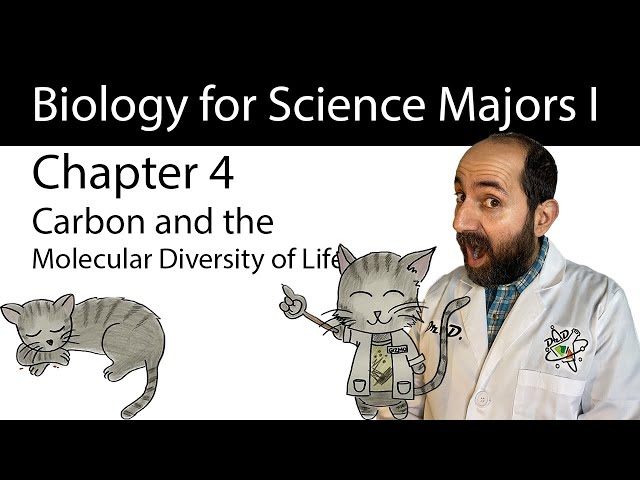 Chapter 4 – Carbon and the Molecular Diversity of Life