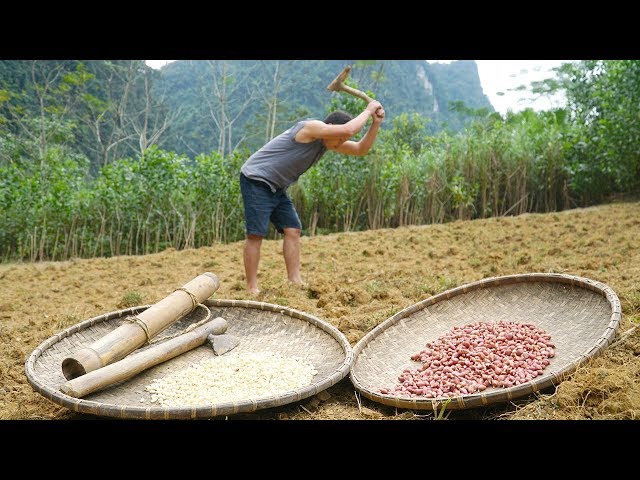 Primitive Skills; You need to know how to plant a food, watch this