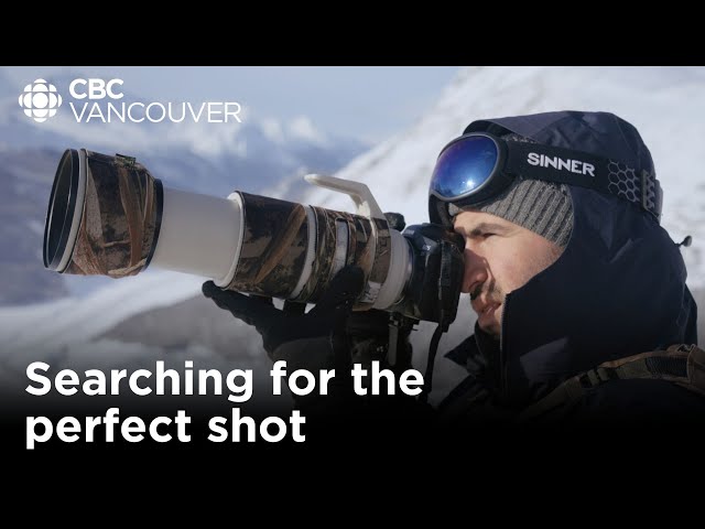 A week in the life of a professional wildlife photographer | CBC Creator Network