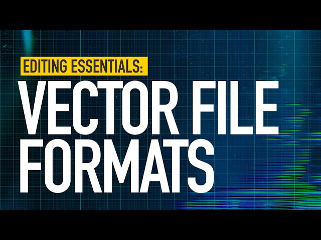 Choosing the Right Vector Format
