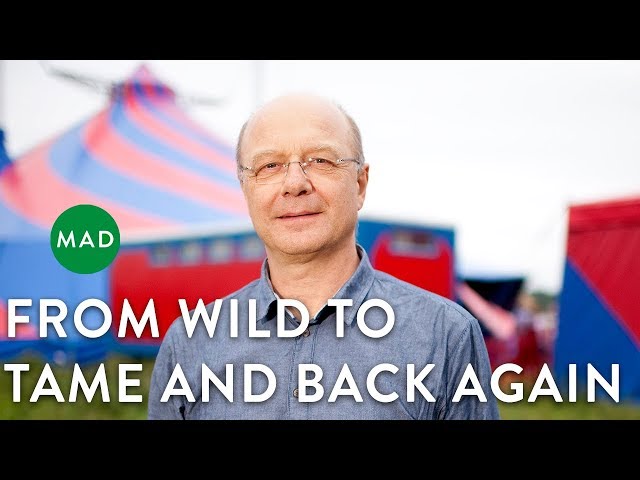 From Wild to Tame and Back Again | Tor Nørretranders