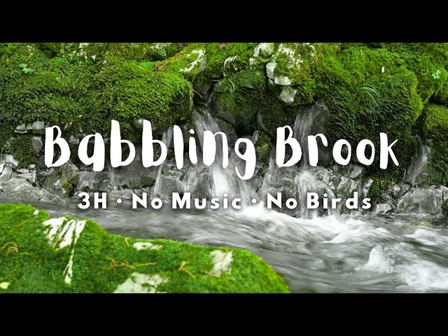 【Relaxing Water Sounds 】 Tranquil Flowing Water in a Mossy Stream
