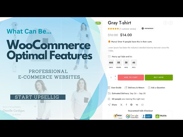 Optimal WooCommerce Features - Professional eCommerce Website | WooCommerce AddOn Features Explained