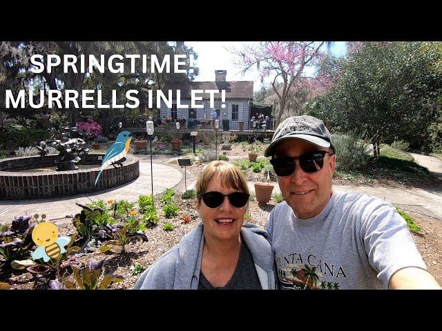 It's Spring In Murrells Inlet! Visiting Brookgreen Gardens- Once A Rice Plantation.