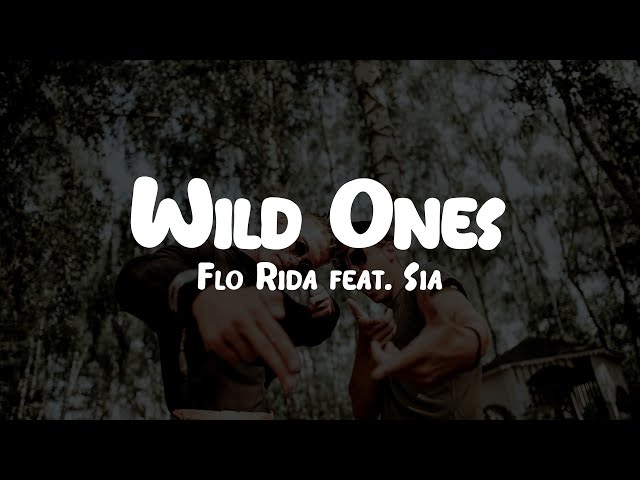Flo Rida feat. Sia - Wild Ones // Lyrics