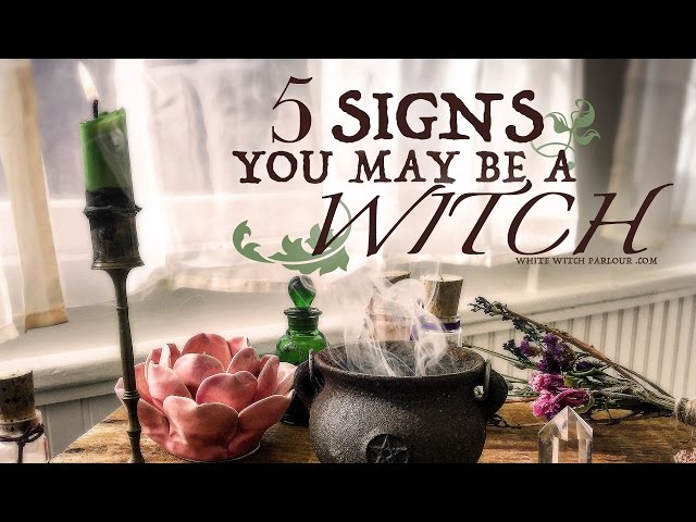 5 Signs You Might Be A Witch ~ The White Witch Parlour