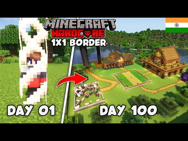 I Survived 100 Days In 1X1 Border In Minecraft Hardcore (Hindi)